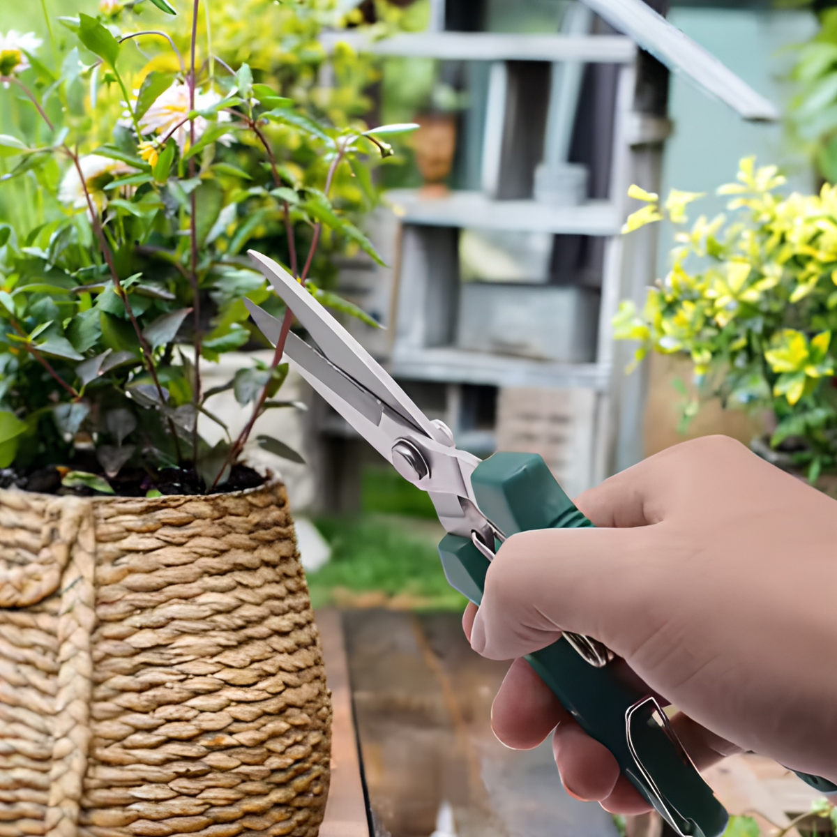 Straight Head Pruning Shears